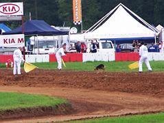 campionato europeo_26 settembre 2009 136 